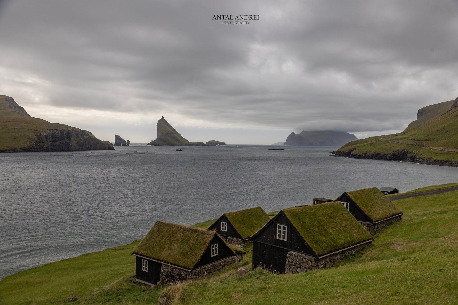 Full Day Guided Vágar Tour - See It All