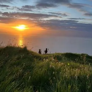 Sunset in mykines, puffins looking at the sunset